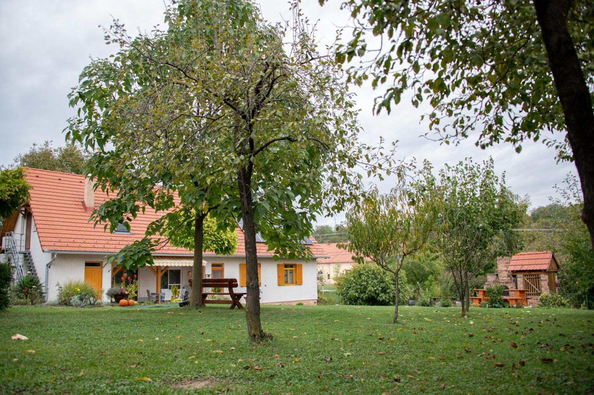 Rozmaring Vendeghaz 호텔 Zengővárkony 외부 사진